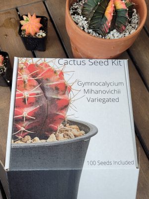Gymnocalycium Mihanovichii Variegated Cactus Seed Garden Kit 100 Seeds Included