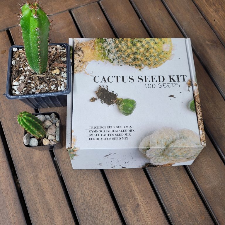 Tricho Cereus Cactus Seed Kit with 100 Seeds included Variety Seeds Cacti Garden