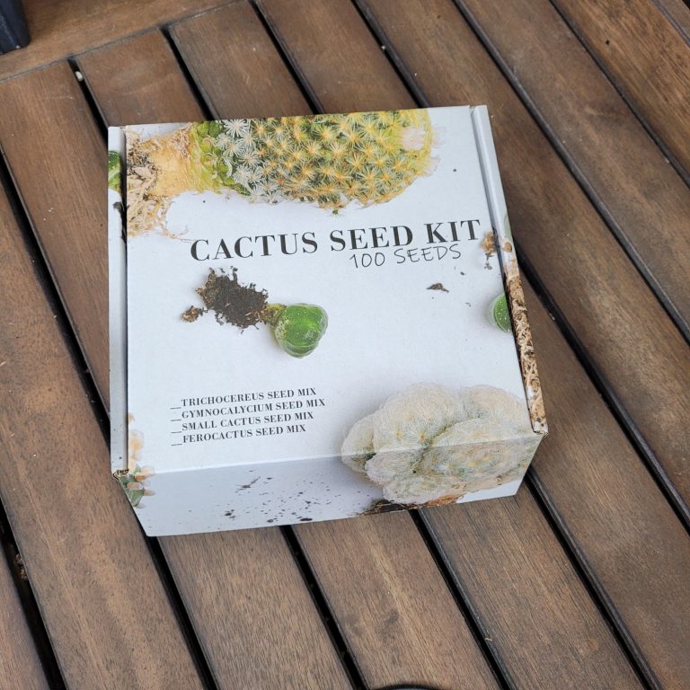 Small Cactus Variety Cacti Cactus Seed Garden Kit 100 Seeds Included Great Gift!