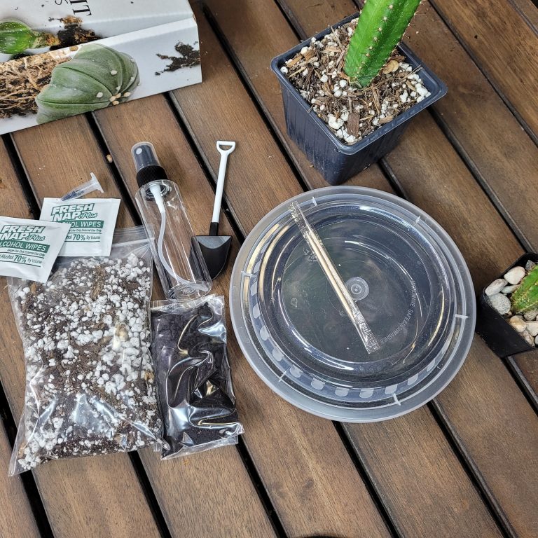 Tricho Cereus Cactus Seed Kit with 100 Seeds included Variety Seeds Cacti Garden - Image 5