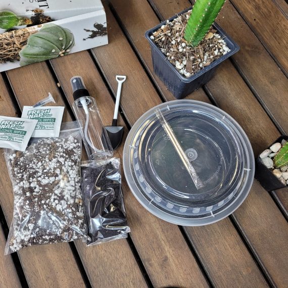 Tricho Cereus Cactus Seed Kit with 100 Seeds included Variety Seeds Cacti Garden - Image 5