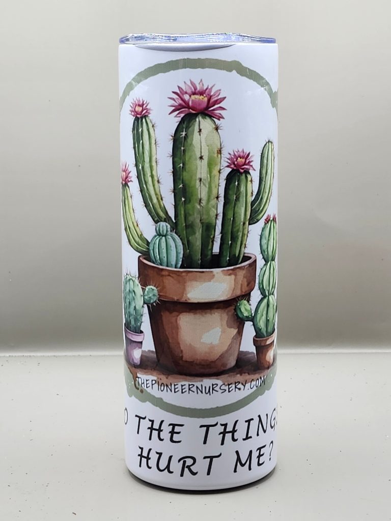 Why Do Things I Love Hurt Me Cactus Themed 20 oz Stainless Steel Tumbler with Straw, Unique, Design #20007