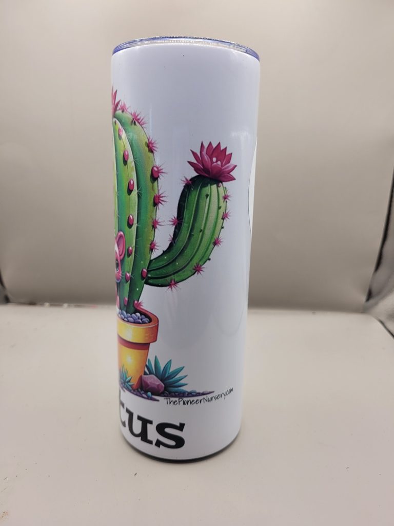 Catus Cute Adorable Cactus Themed 20 oz Stainless Steel Tumbler with Straw, Unique, Design #20010 - Image 3