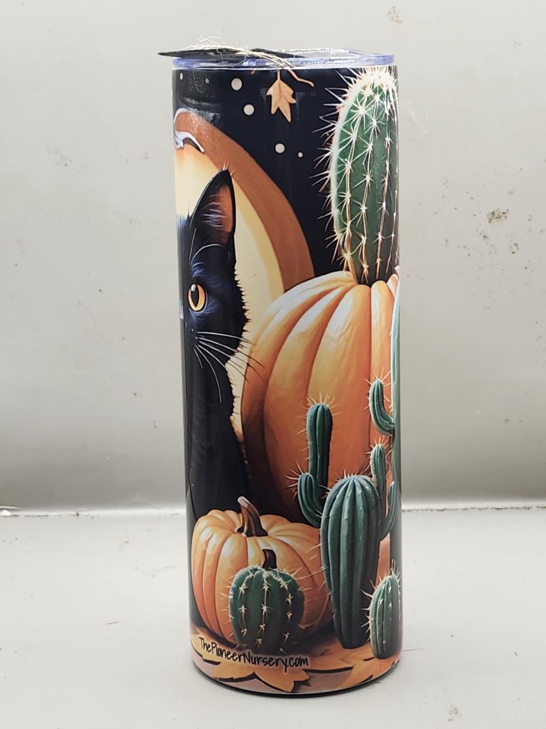 Halloween Black Cat Adorable Pumpkin Sweet Fun Cactus Themed 20 oz Stainless Steel Tumbler with Straw, Unique, Design #20026 - Image 4