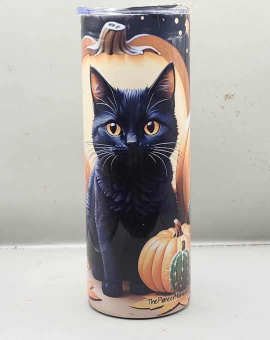 Halloween Black Cat Adorable Pumpkin Sweet Fun Cactus Themed 20 oz Stainless Steel Tumbler with Straw, Unique, Design #20026