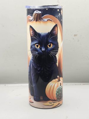 Halloween Black Cat Adorable Pumpkin Sweet Fun Cactus Themed 20 oz Stainless Steel Tumbler with Straw, Unique, Design #20026