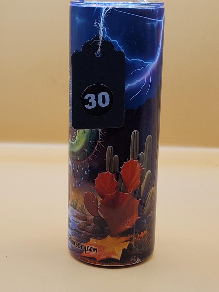 Rain and Lightning Fall Festive Rainy Day Cactus Themed 20 oz Stainless Steel Tumbler with Straw, Unique, Design #20030 - Image 2
