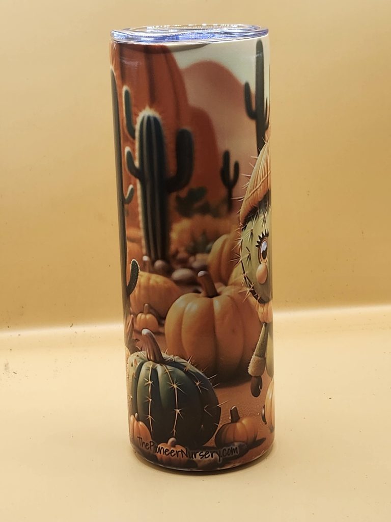 Fall Pumpkin Cactus Character Festive Rainy Day Cactus Themed 20 oz Stainless Steel Tumbler with Straw, Unique, Design #20031 - Image 2