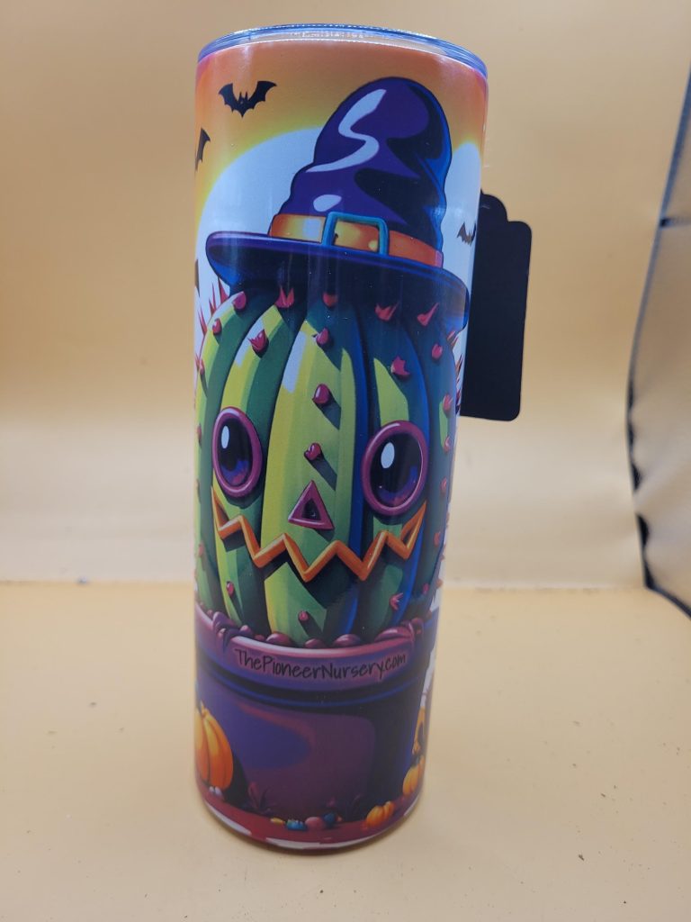Best Prick of the Patch Funny Joke Halloween Cactus Themed Cute 20oz Stainless Steel Tumbler #20036 - Image 3