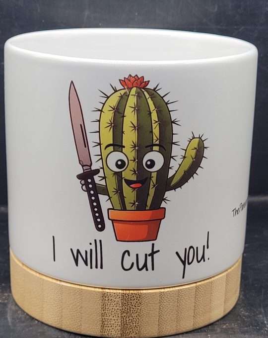 The Pioneer Nursery 4” Ceramic Planter Pot – “I Will Cut You” Cactus Design with Bamboo Base & Drainage Hole