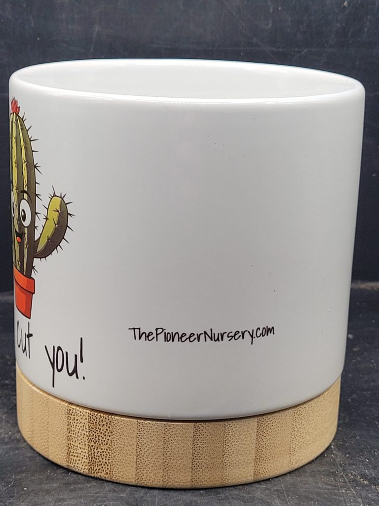 The Pioneer Nursery 4” Ceramic Planter Pot – “I Will Cut You” Cactus Design with Bamboo Base & Drainage Hole - Image 3