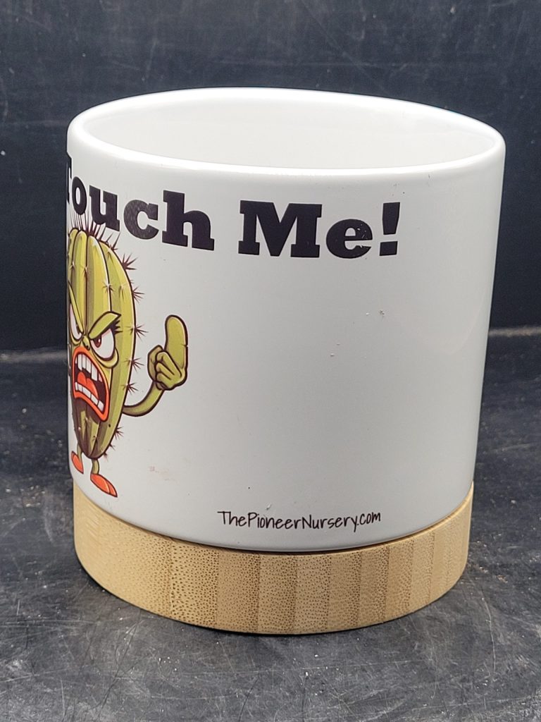The Pioneer Nursery 4” Ceramic Planter Pot – “Don’t Touch Me” Cactus Design with Bamboo Base & Drainage Hole - Image 5