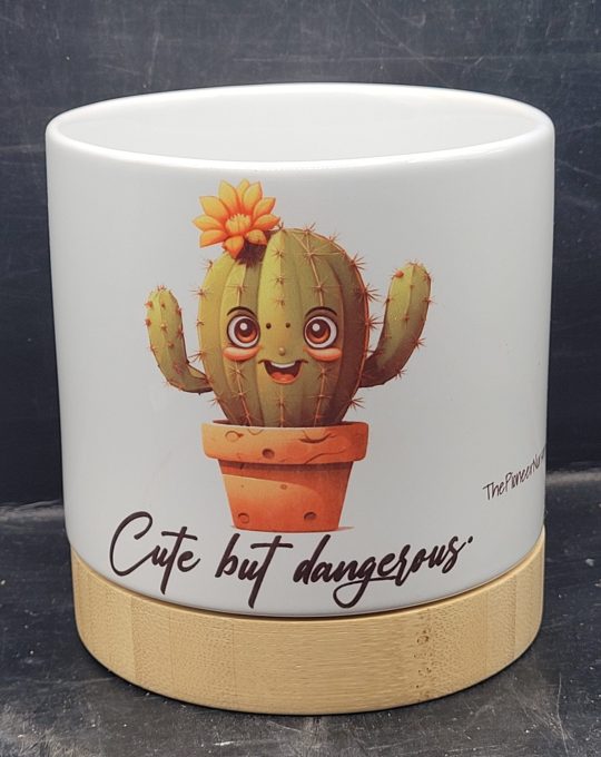 The Pioneer Nursery 4” Ceramic Planter Pot – “Cute but Dangerous” Cactus Design with Bamboo Base & Drainage Hole