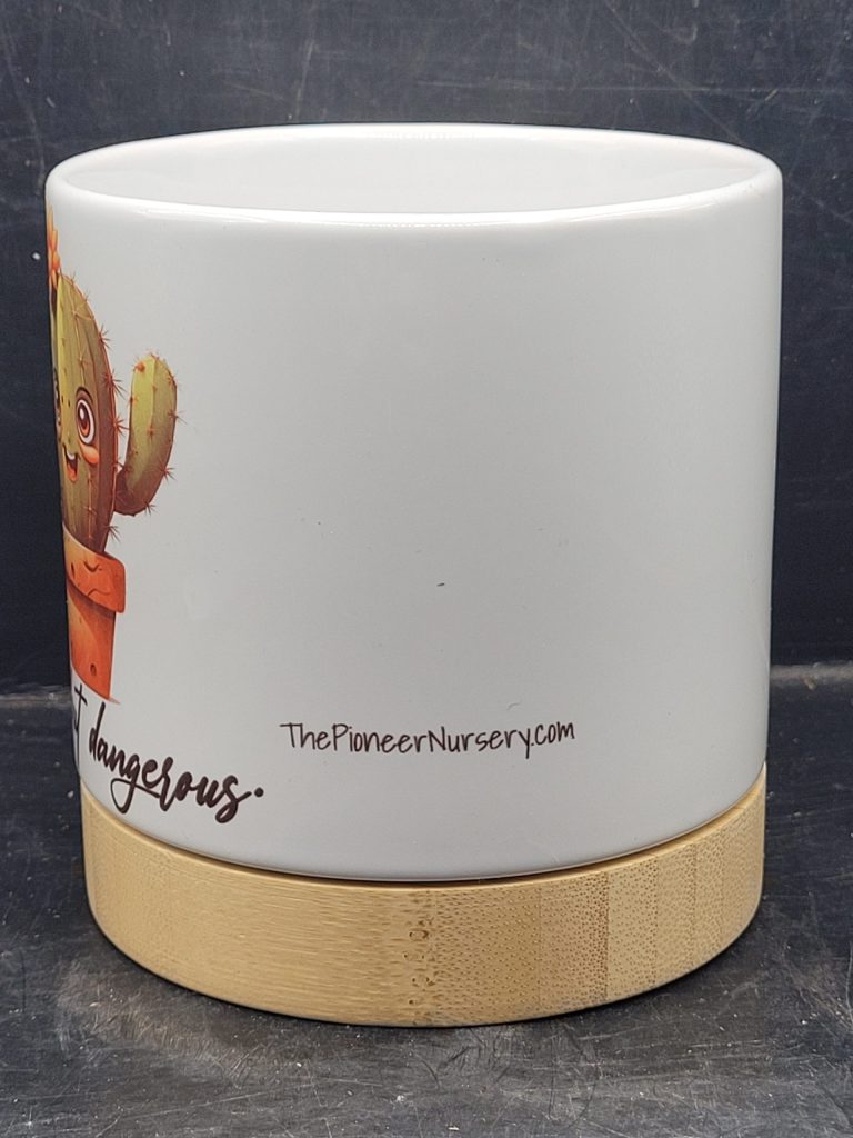 The Pioneer Nursery 4” Ceramic Planter Pot – “Cute but Dangerous” Cactus Design with Bamboo Base & Drainage Hole - Image 5