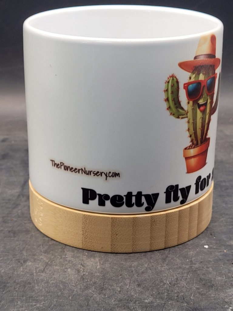 The Pioneer Nursery 4” Ceramic Planter Pot – “Pretty Fly for a Cacti” Cactus Design with Bamboo Base & Drainage Hole - Image 6