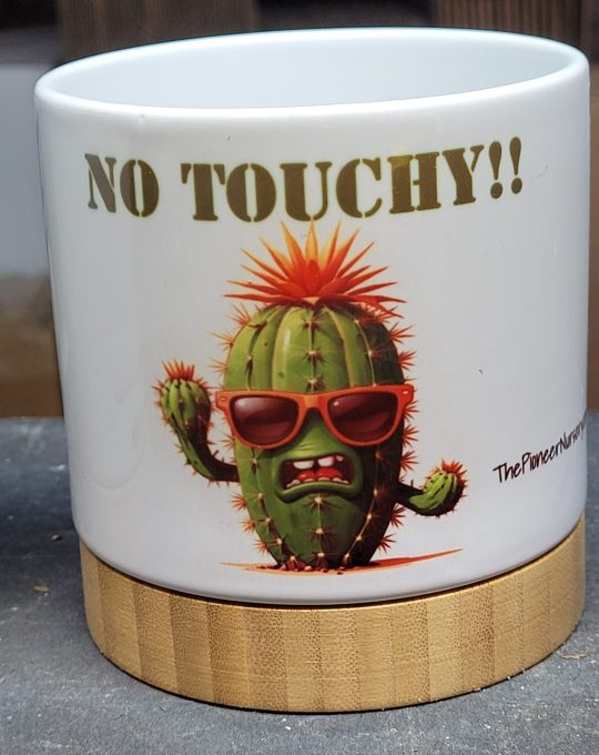 The Pioneer Nursery 4” Ceramic Planter Pot – “No Touchy” Cactus Design with Bamboo Base & Drainage Hole