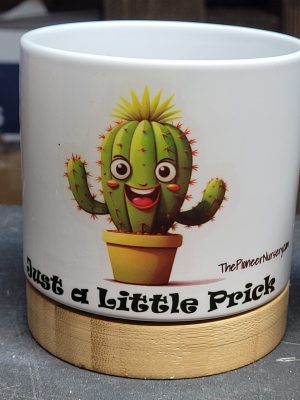 The Pioneer Nursery 4” Ceramic Planter Pot – “Just a Little Prick” Cactus Design with Bamboo Base & Drainage Hole