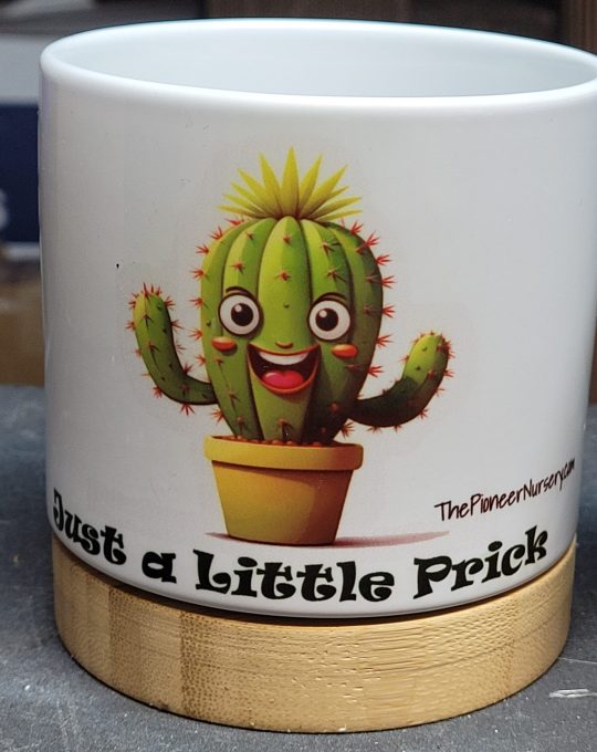 The Pioneer Nursery 4” Ceramic Planter Pot – “Just a Little Prick” Cactus Design with Bamboo Base & Drainage Hole