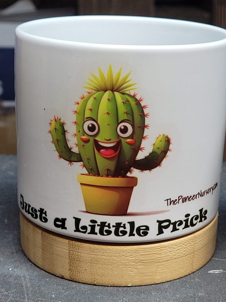 The Pioneer Nursery 4” Ceramic Planter Pot – “Just a Little Prick” Cactus Design with Bamboo Base & Drainage Hole