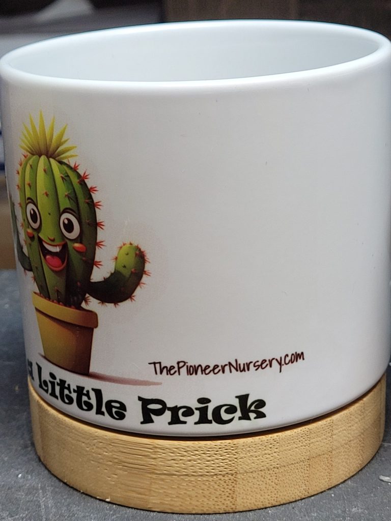 The Pioneer Nursery 4” Ceramic Planter Pot – “Just a Little Prick” Cactus Design with Bamboo Base & Drainage Hole - Image 3