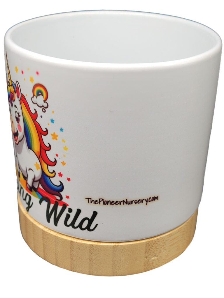 The Pioneer Nursery 4” Ceramic Planter Pot – “Running Wild” Unicorn Design with Bamboo Base & Drainage Hole - Image 4