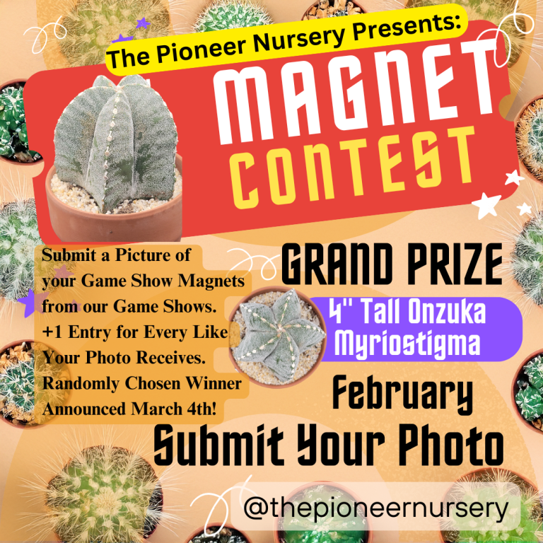 Join Our Instagram Cactus Contest for a Chance to Win a Rare Cactus!