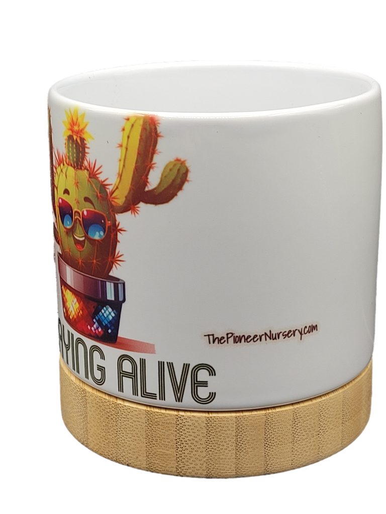 The Pioneer Nursery 4” Ceramic Planter Pot – “Staying Alive” Cactus Design with Bamboo Base & Drainage Hole - Image 4
