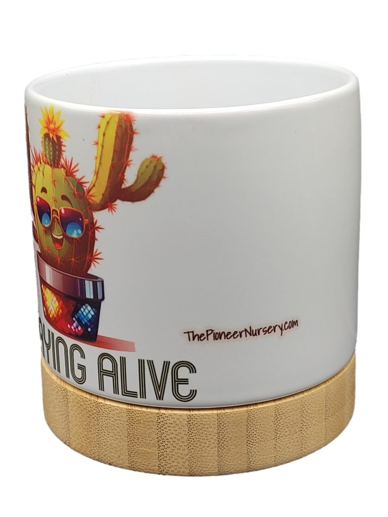 The Pioneer Nursery 4” Ceramic Planter Pot – “Staying Alive” Cactus Design with Bamboo Base & Drainage Hole - Image 5