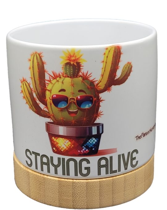 The Pioneer Nursery 4” Ceramic Planter Pot – “Staying Alive” Cactus Design with Bamboo Base & Drainage Hole