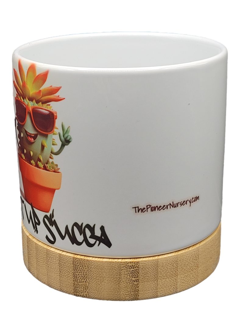 The Pioneer Nursery 4” Ceramic Planter Pot – “What Up Succa” Cactus Design with Bamboo Base & Drainage Hole - Image 5