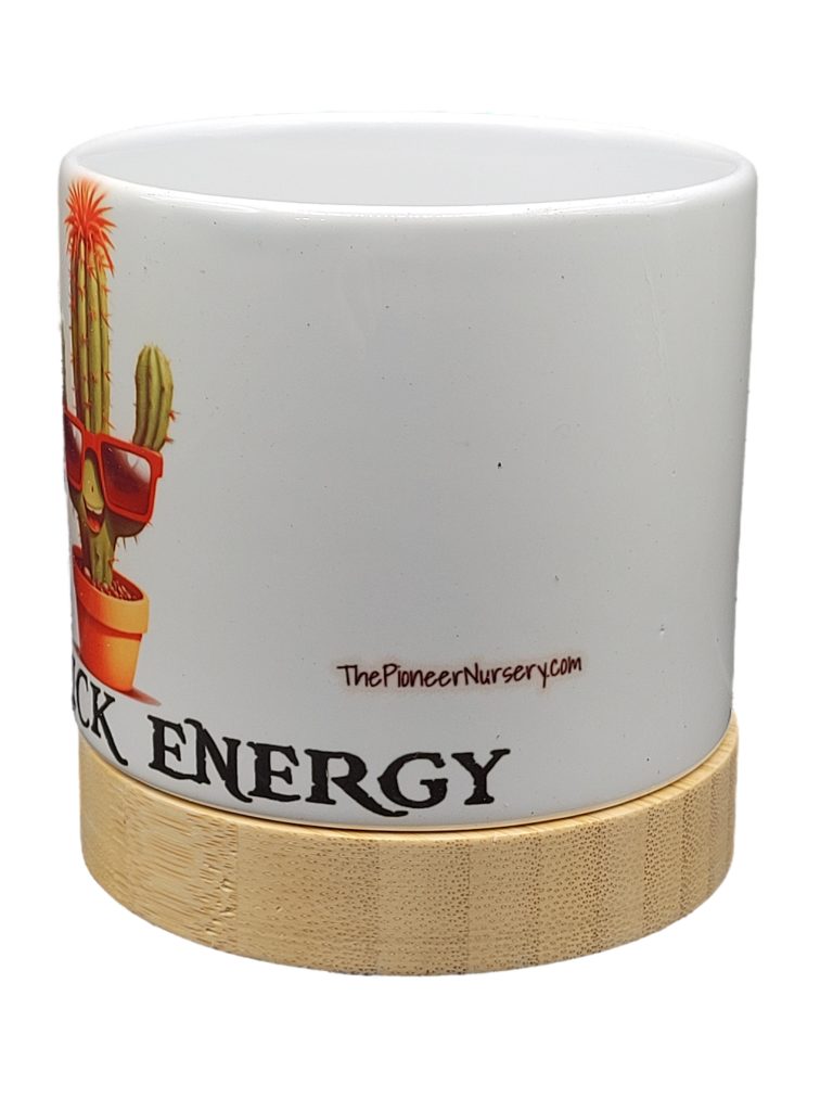 The Pioneer Nursery 4” Ceramic Planter Pot – “Big Prick Energy” Cactus Design with Bamboo Base & Drainage Hole - Image 4