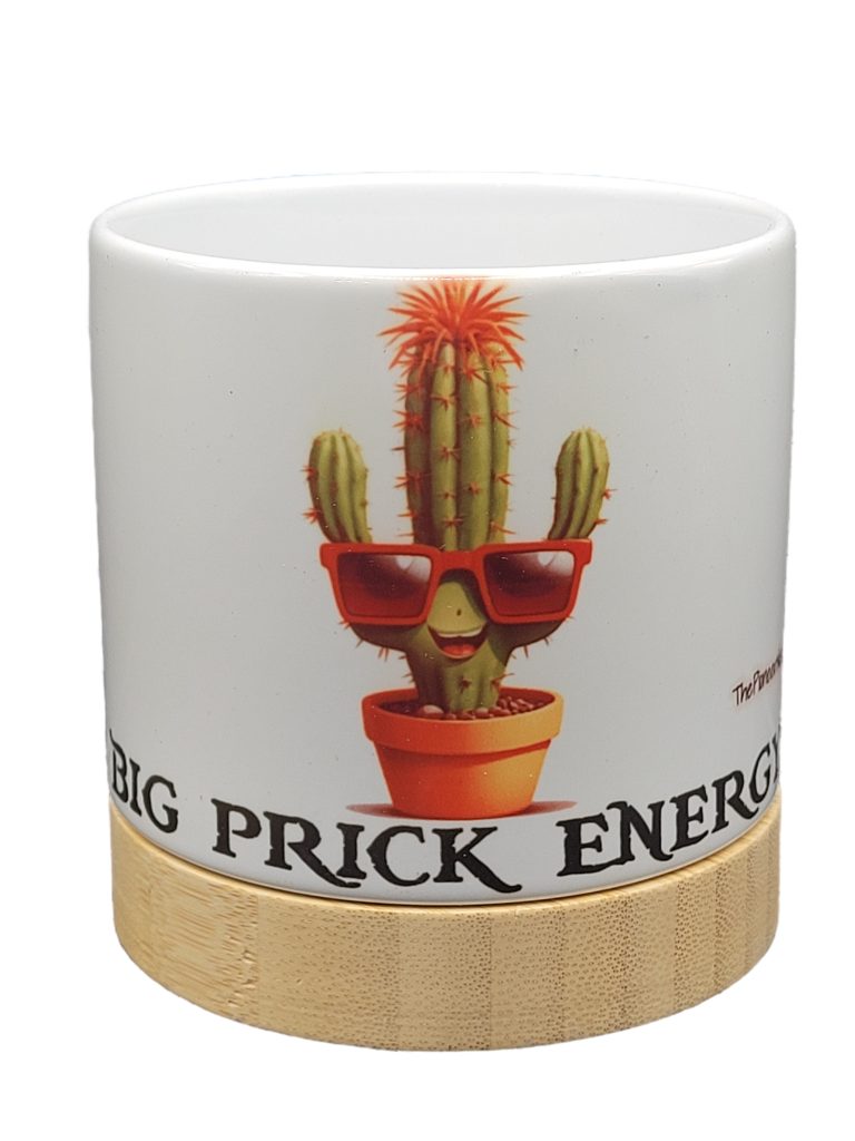 The Pioneer Nursery 4” Ceramic Planter Pot – “Big Prick Energy” Cactus Design with Bamboo Base & Drainage Hole