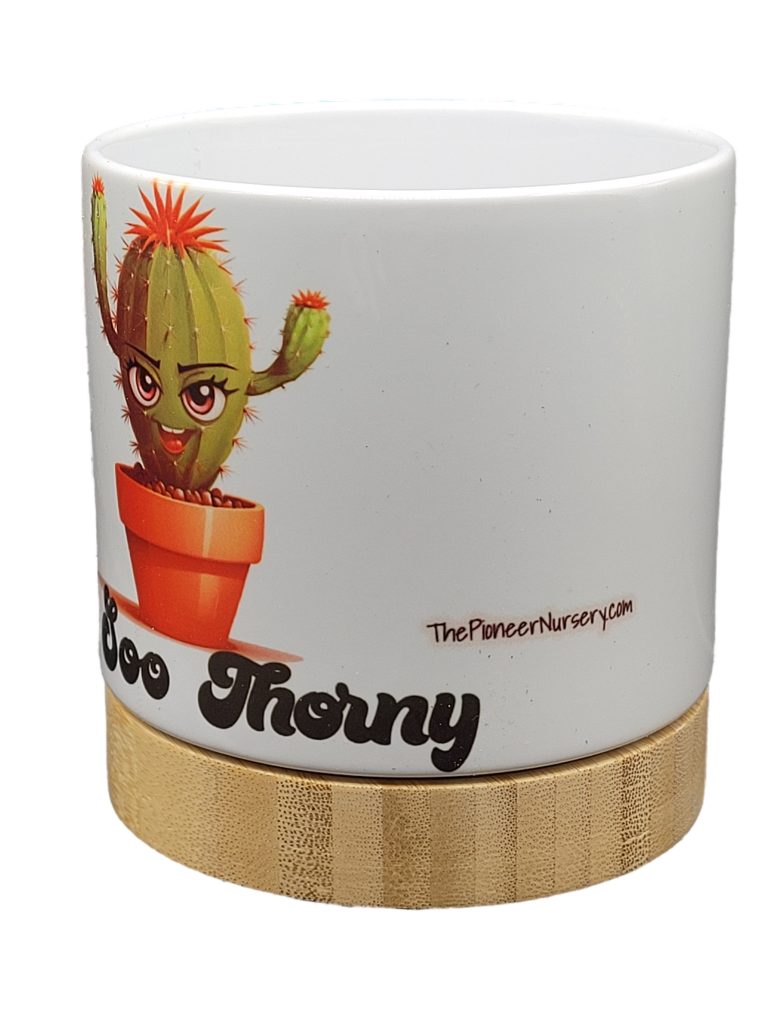 The Pioneer Nursery 4” Ceramic Planter Pot – “Me Soo Thorny” Cactus Design with Bamboo Base & Drainage Hole - Image 3