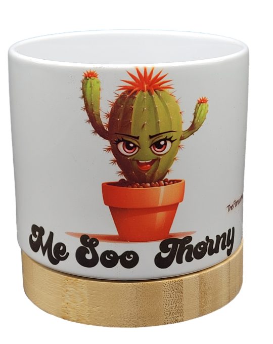 The Pioneer Nursery 4” Ceramic Planter Pot – “Me Soo Thorny” Cactus Design with Bamboo Base & Drainage Hole