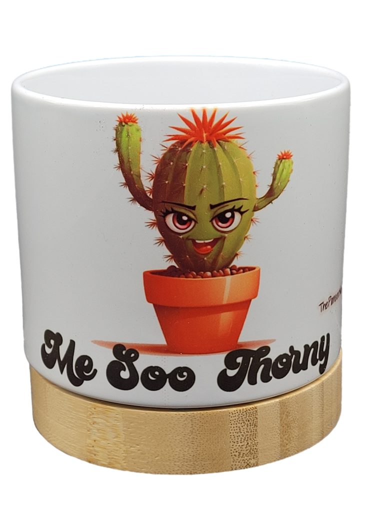 The Pioneer Nursery 4” Ceramic Planter Pot – “Me Soo Thorny” Cactus Design with Bamboo Base & Drainage Hole