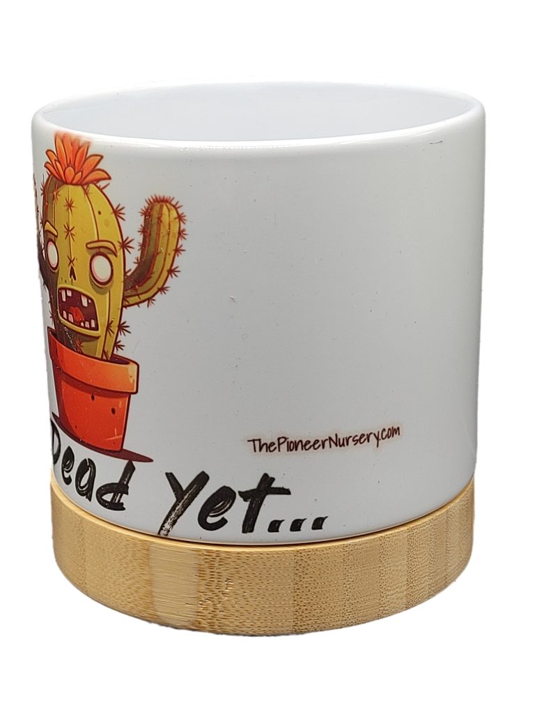 The Pioneer Nursery 4” Ceramic Planter Pot – “Not Dead Yet” Cactus Design with Bamboo Base & Drainage - Image 3
