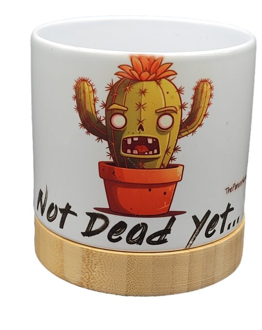 The Pioneer Nursery 4” Ceramic Planter Pot – “Not Dead Yet” Cactus Design with Bamboo Base & Drainage