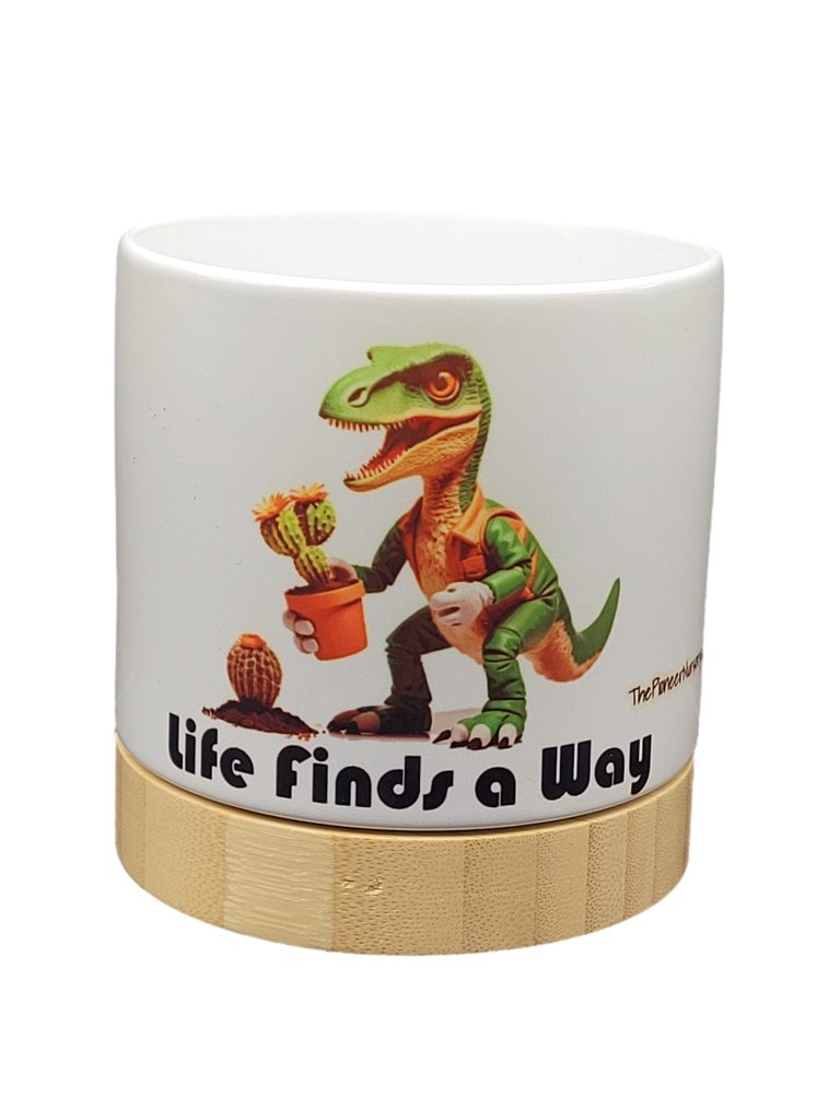 The Pioneer Nursery 4” Ceramic Planter Pot – “Life Finds A Way” Dino Cactus Design with Bamboo Base & Drainage Hole