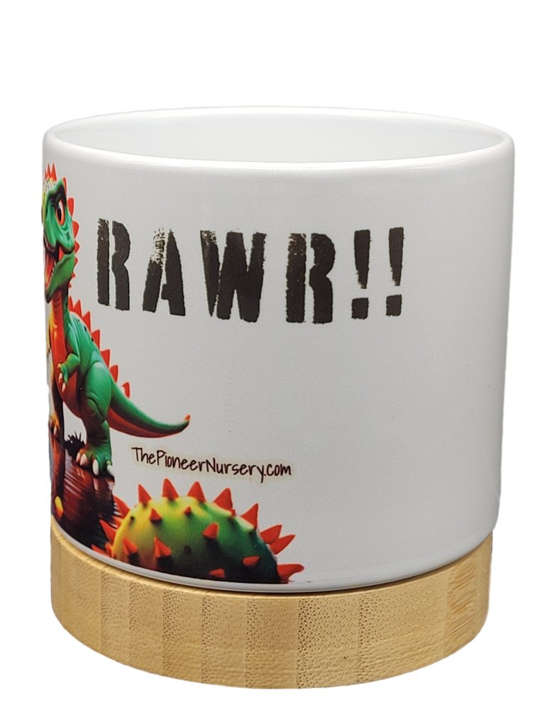 The Pioneer Nursery 4” Ceramic Planter Pot – “RAWR” Dino Cactus Design with Bamboo Base & Drainage Hole - Image 3
