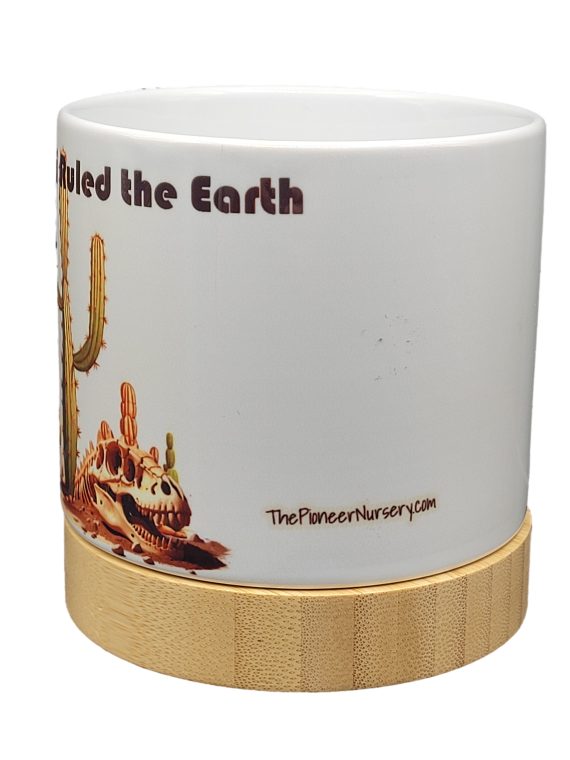 The Pioneer Nursery 4” Ceramic Planter Pot – “When Cacti Ruled The Earth” Dino Cactus Design with Bamboo Base & Drainage Hole - Image 4