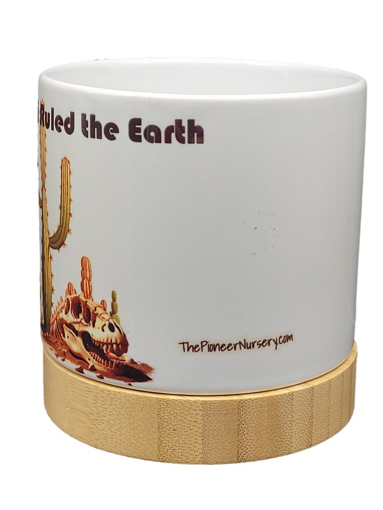 The Pioneer Nursery 4” Ceramic Planter Pot – “When Cacti Ruled The Earth” Dino Cactus Design with Bamboo Base & Drainage Hole - Image 4