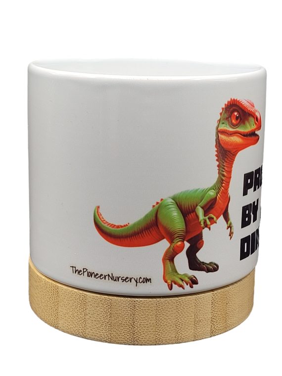 The Pioneer Nursery 4” Ceramic Planter Pot – “Protected By Dinos" Dino Cactus Design with Bamboo Base & Drainage Hole - Image 6