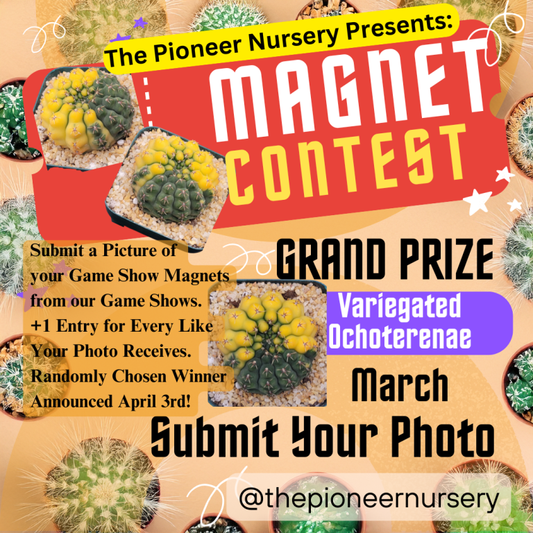 Join Our Instagram Cactus Contest for a Chance to Win a Rare Cactus! March Contest