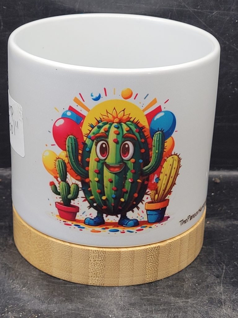 The Pioneer Nursery 4” Ceramic Planter Pot – “Plump Fool  ” Cactus Design with Bamboo Base & Drainage Hole
