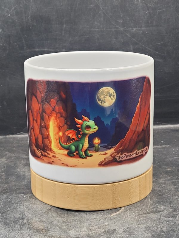 The Pioneer Nursery 4” Ceramic Planter Pot – “Little Ember” Cactus Design with Bamboo Base & Drainage Hole