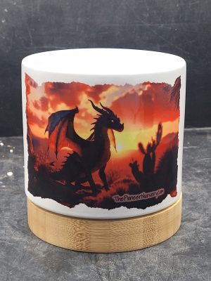 The Pioneer Nursery 4” Ceramic Planter Pot – “Shadowflame” Cactus Design with Bamboo Base & Drainage Hole