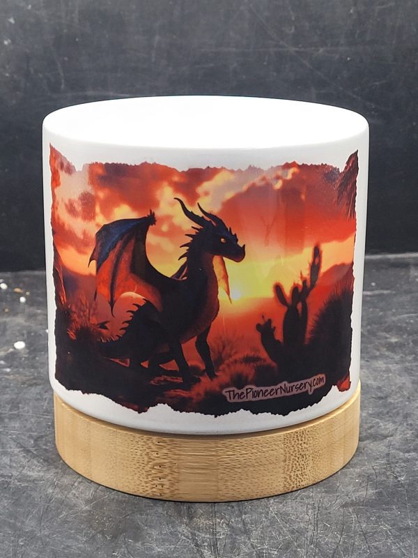 The Pioneer Nursery 4” Ceramic Planter Pot – “Shadowflame” Cactus Design with Bamboo Base & Drainage Hole