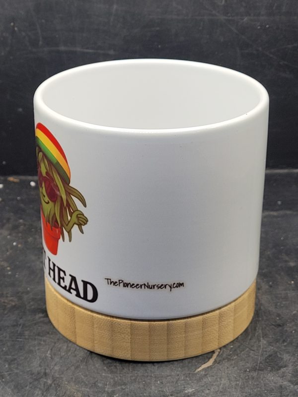The Pioneer Nursery 4” Ceramic Planter Pot – “Pot Head” Cactus Design with Bamboo Base & Drainage Hole - Image 3