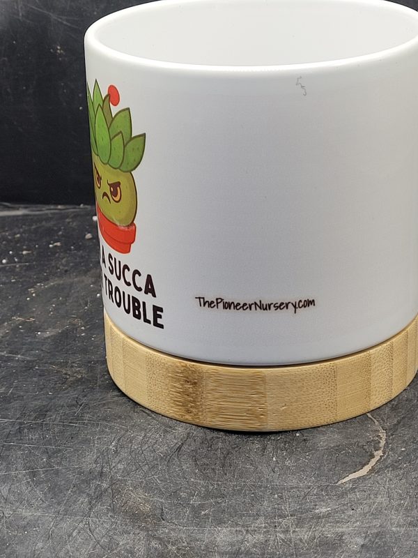 The Pioneer Nursery 4” Ceramic Planter Pot – “I'm A Succa for Trouble” Cactus Design with Bamboo Base & Drainage Hole - Image 4