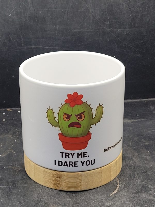 The Pioneer Nursery 4” Ceramic Planter Pot – “Try Me I Dare You” Cactus Design with Bamboo Base & Drainage Hole - Image 2